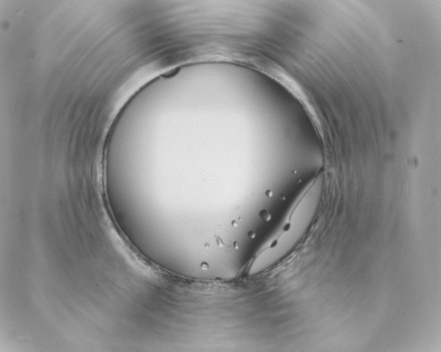 X0000088570811200706151645