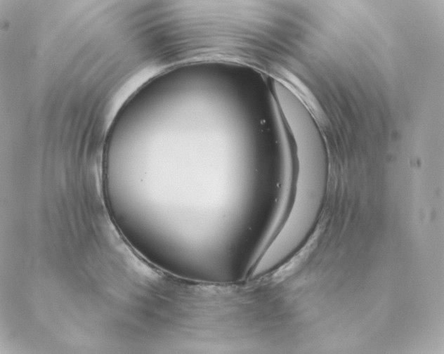 X0000088570812200706151645