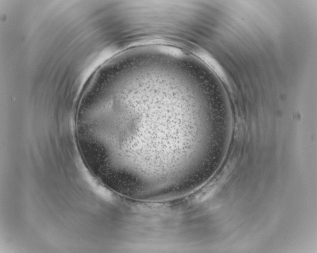 X0000088570813200706151645