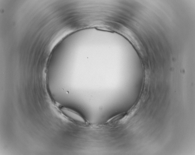 X0000088570814200706151645