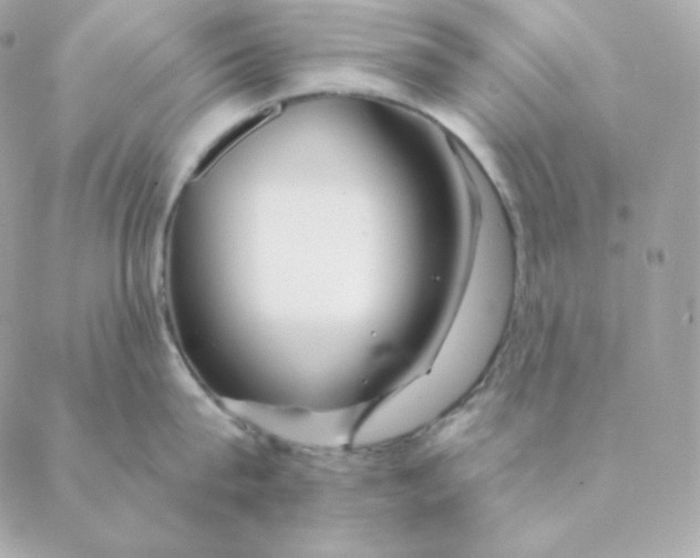 X0000088570815200706151645