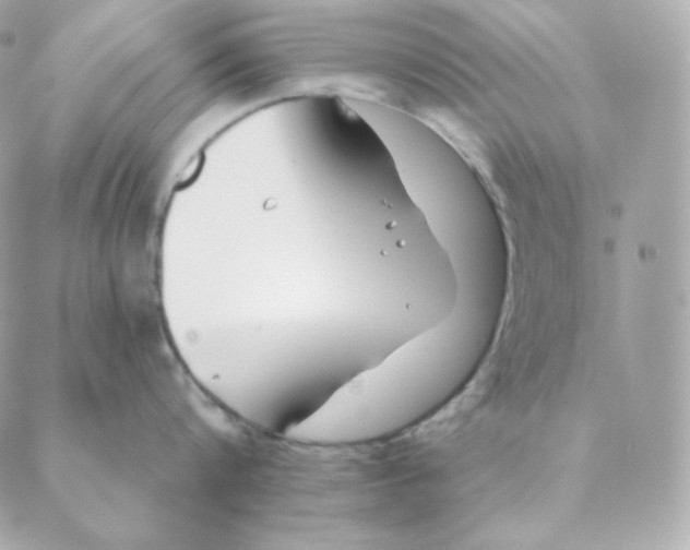 X0000088570816200706151645