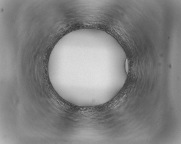 X0000088570817200706151644