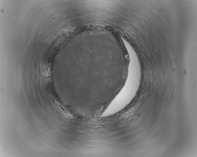 X0000088570818200706151644