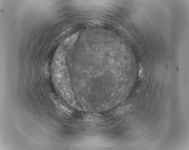 X0000088570819200706151644