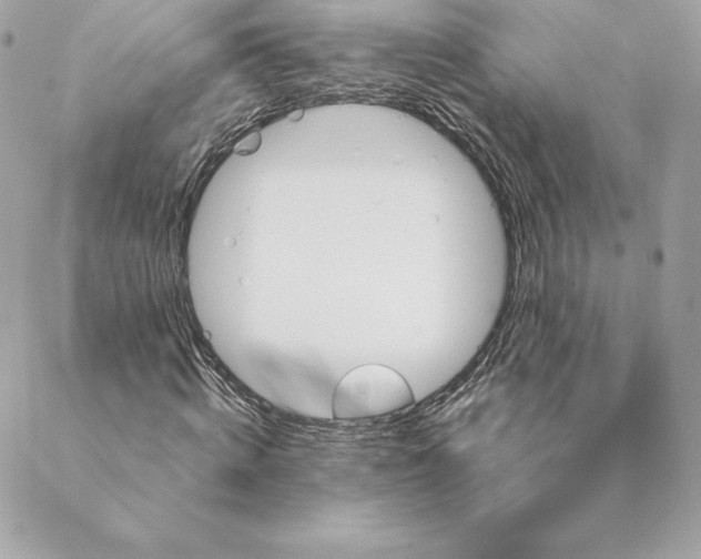 X0000088570820200706151644