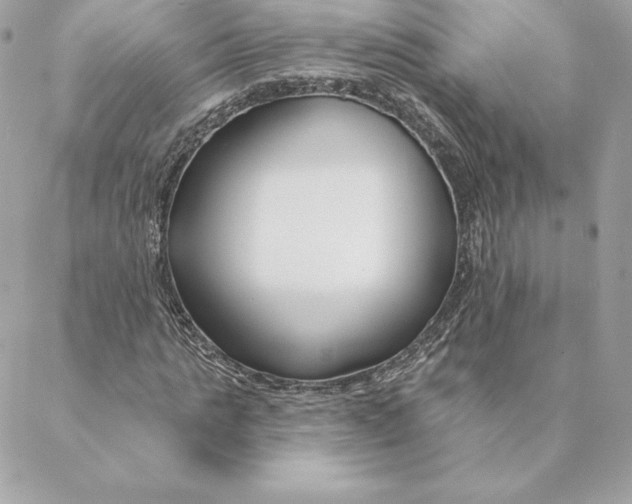 X0000088570821200706151644