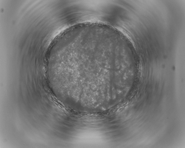 X0000088570823200706151644