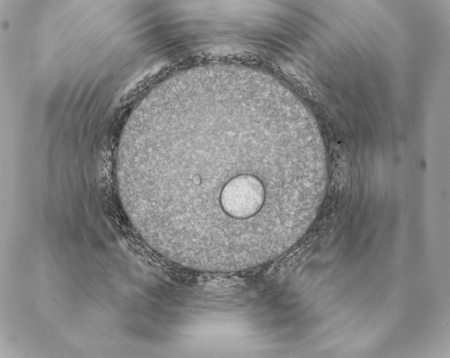 X0000088570824200706151644