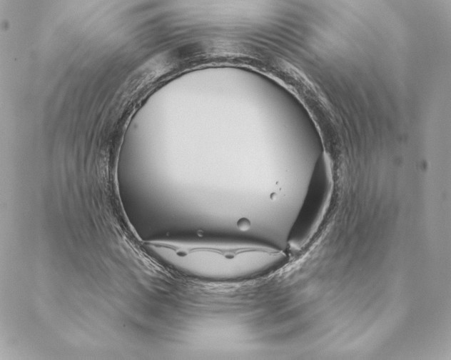 X0000088570825200706151644