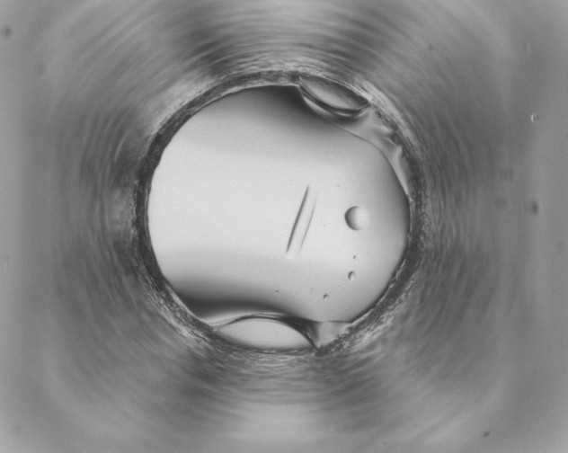 X0000088570826200706151644