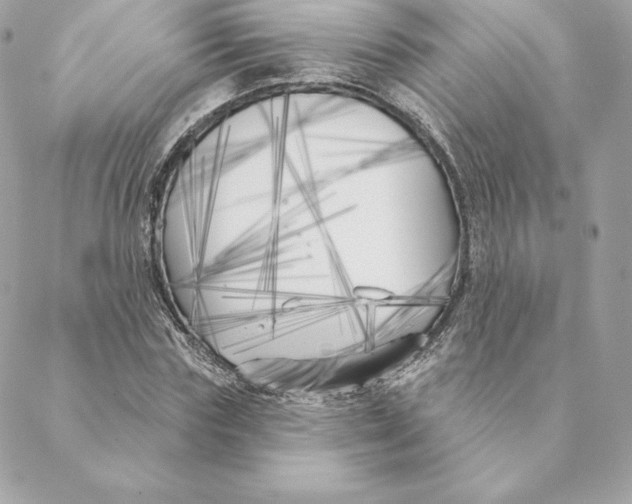 X0000088570827200706151644