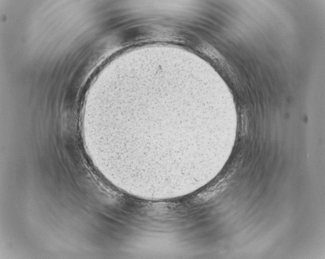 X0000088570828200706151644