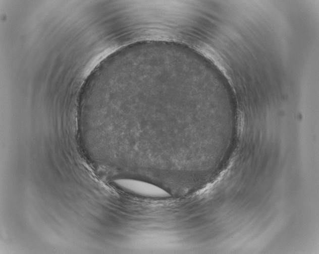 X0000088570829200706151644