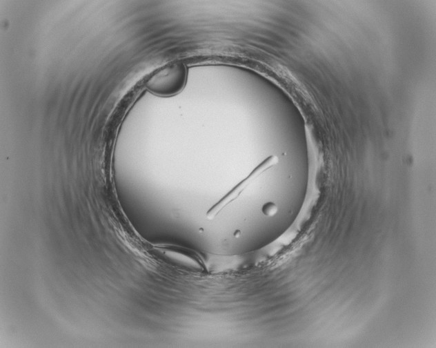 X0000088570830200706151644