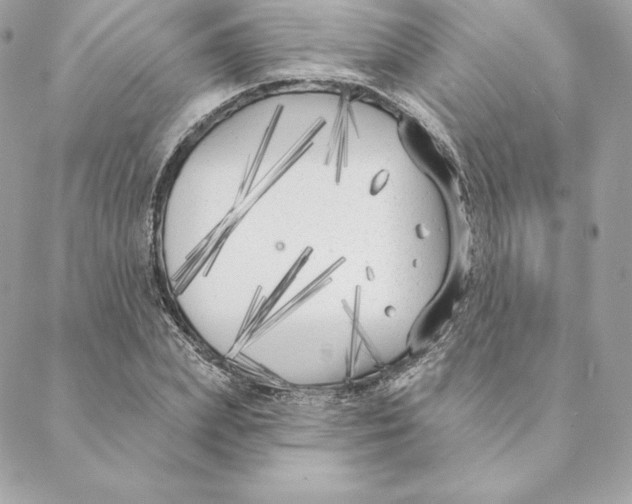 X0000088570831200706151644