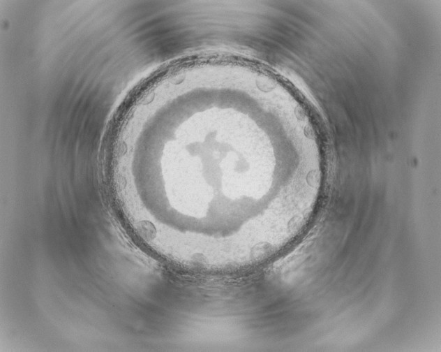 X0000088570832200706151644