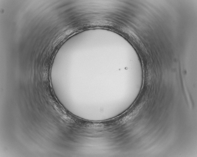 X0000088570833200706151644