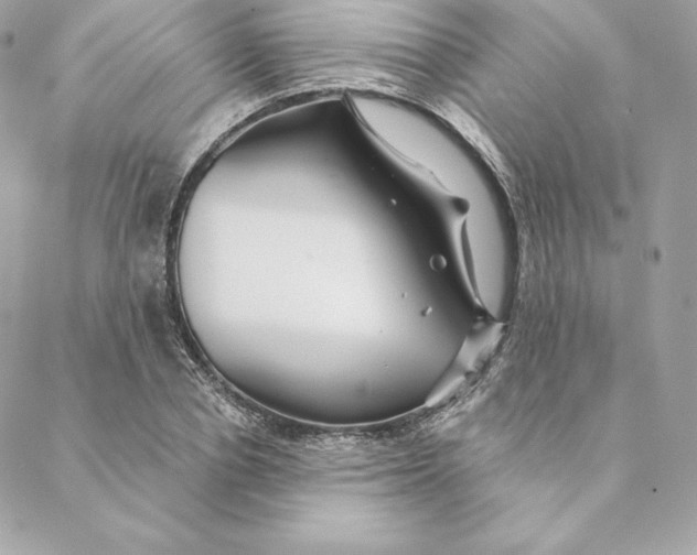 X0000088570834200706151644