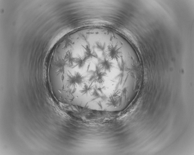 X0000088570835200706151644