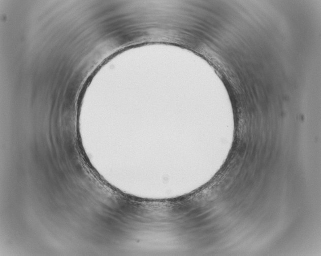 X0000088570836200706151644