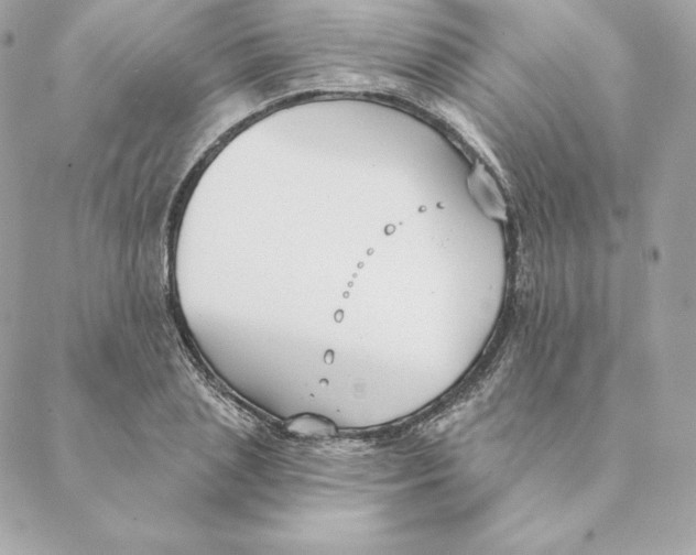 X0000088570837200706151644