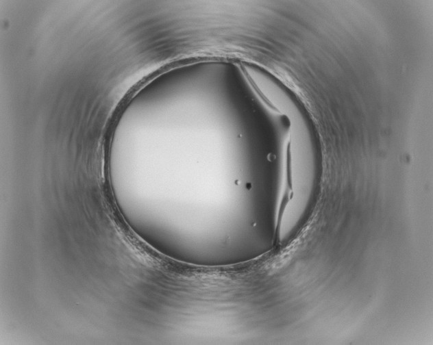 X0000088570838200706151644