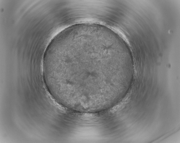 X0000088570839200706151644