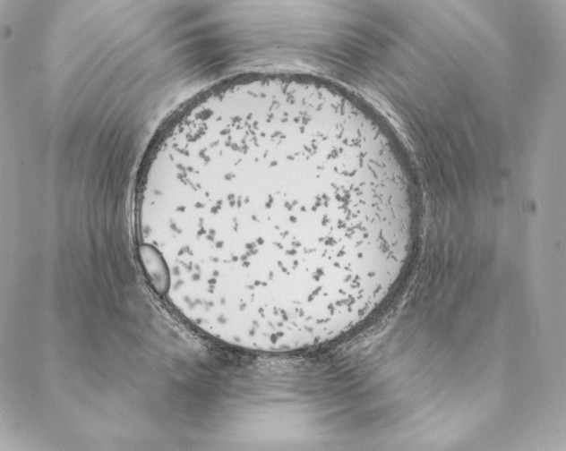 X0000088570840200706151644