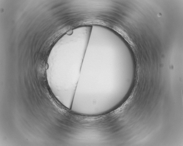 X0000088570841200706151644