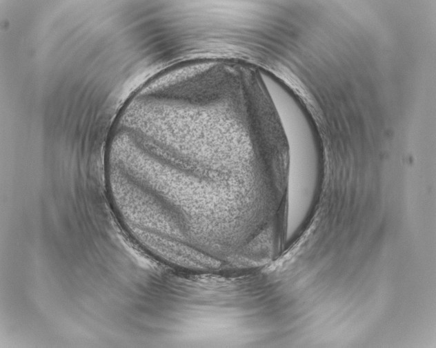 X0000088570842200706151644