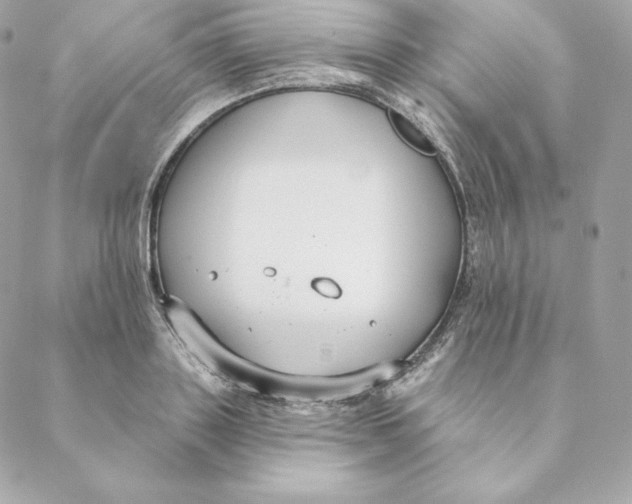 X0000088570843200706151644