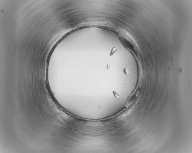 X0000088570844200706151644