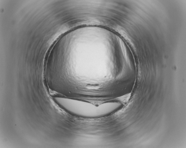 X0000088570845200706151644