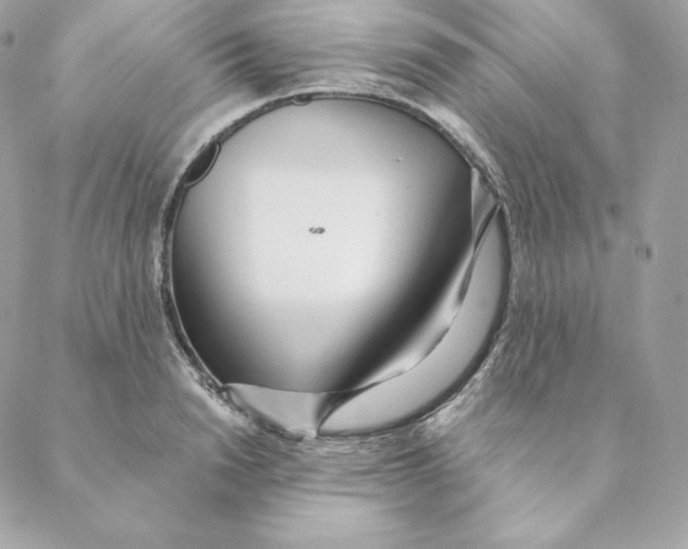 X0000088570846200706151644