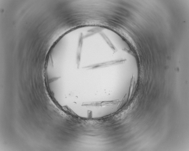 X0000088570847200706151644