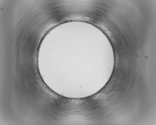 X0000088570848200706151644