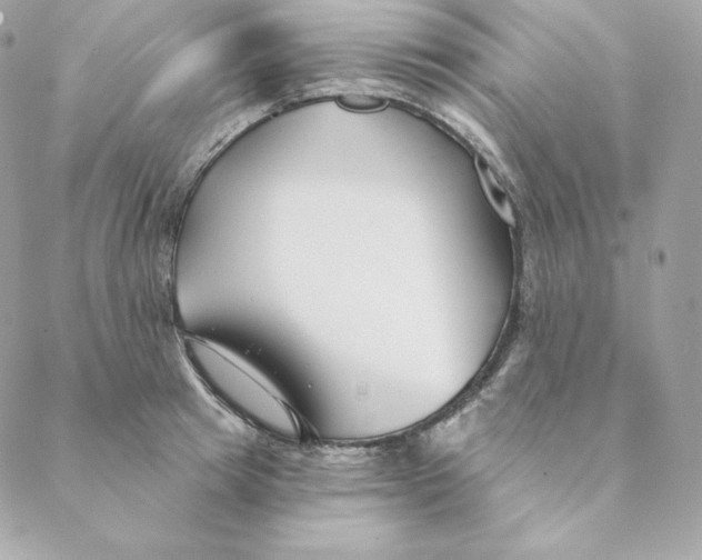 X0000088570849200706151644