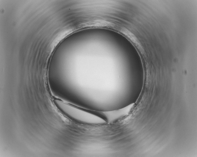 X0000088570850200706151644