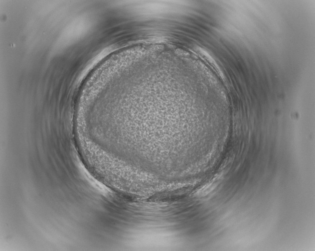 X0000088570851200706151644