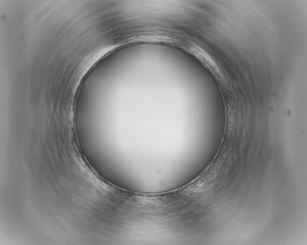 X0000088570852200706151644