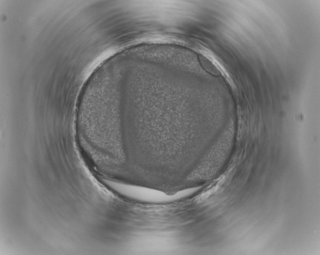 X0000088570853200706151644