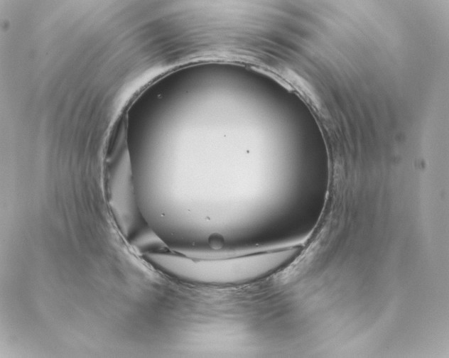 X0000088570854200706151645