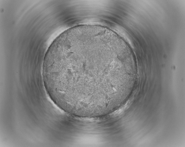 X0000088570855200706151645