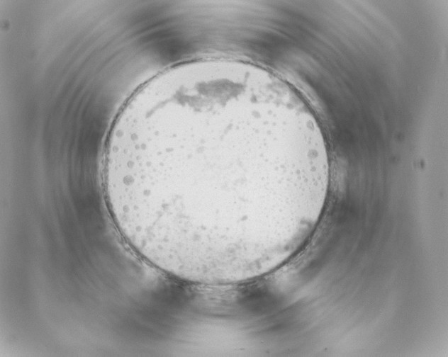 X0000088570856200706151645