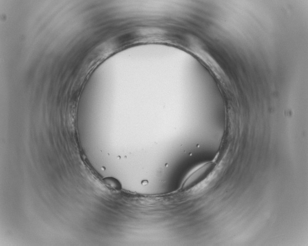 X0000088570857200706151645