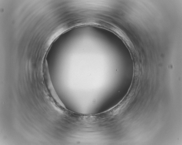 X0000088570858200706151645