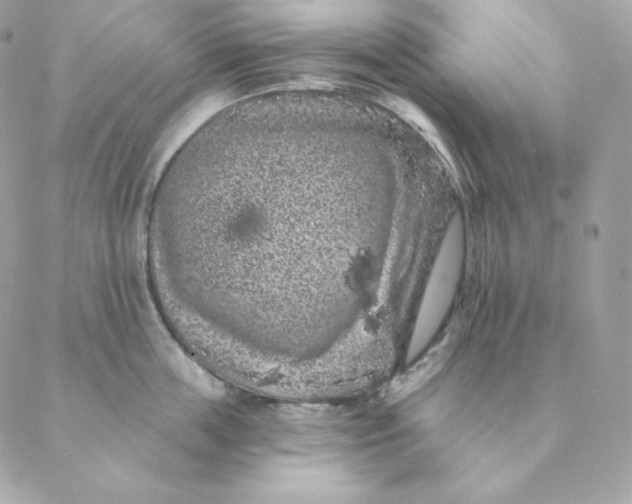 X0000088570859200706151645