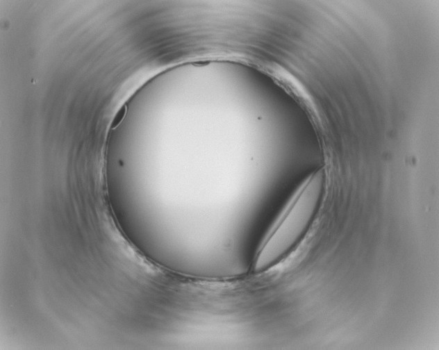 X0000088570860200706151645