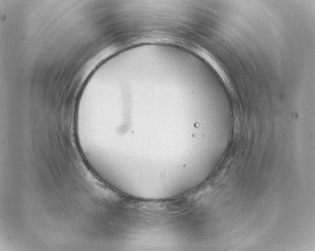 X0000088570861200706151645